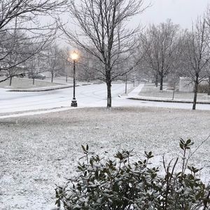 Meet your Posher, Caroline